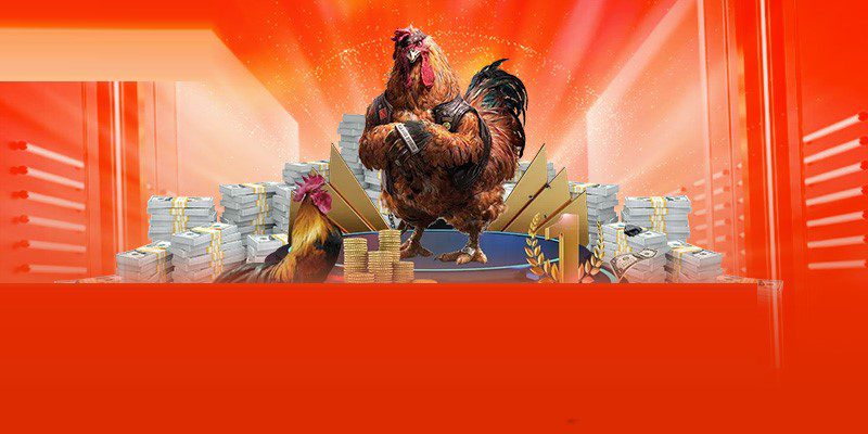 Sảnh đá gà Ae Gaming chinh phục đông đảo người chơi